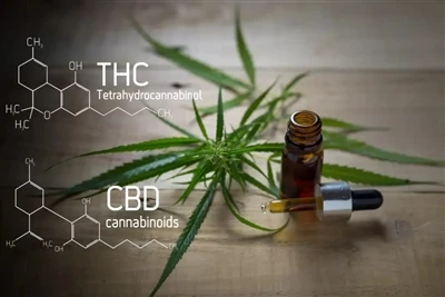 CBD & THC Vape Industry Oversikt: Senaste komplett guide