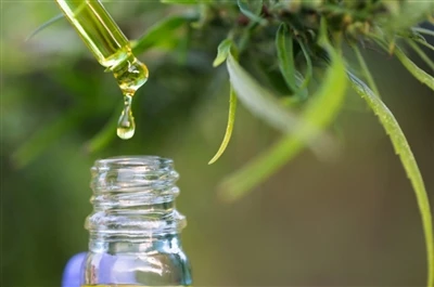 CBD vs. THC: allt du behöver veta