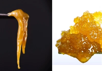 Live Harts vs. Live Rosin: Vad är skillnaden?